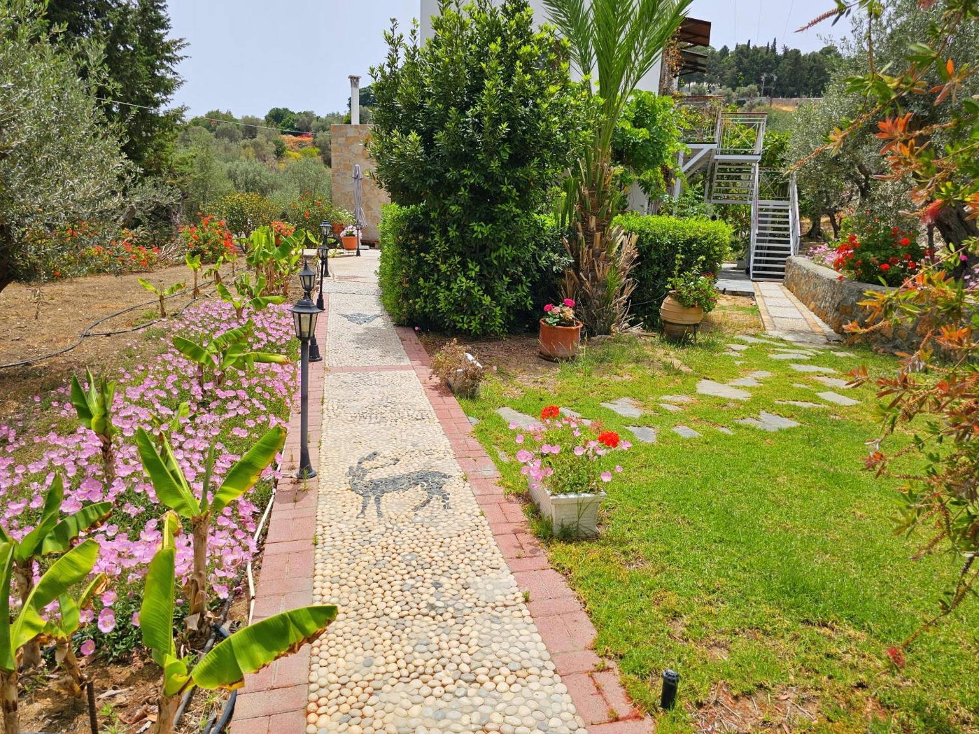 Galini View Apartments Lindos Kültér fotó