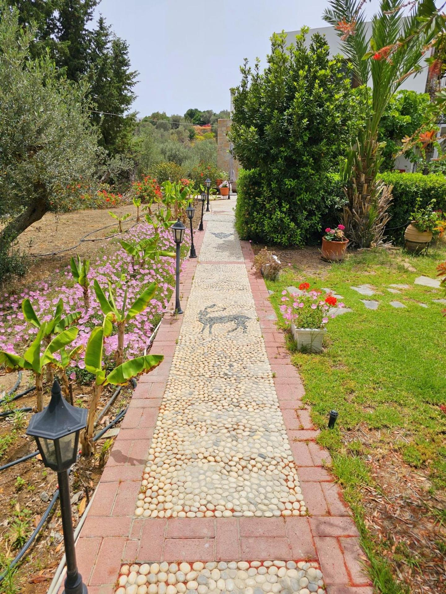 Galini View Apartments Lindos Kültér fotó